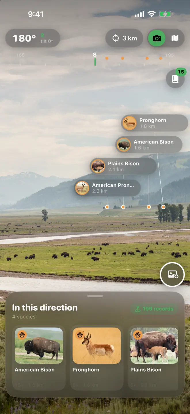 Wild Lens camera view over Lamar Valley, with labels for pronghorn, American bison and plains bison between 1.6 and 2.2 km away